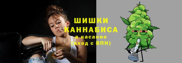 стаф Беломорск