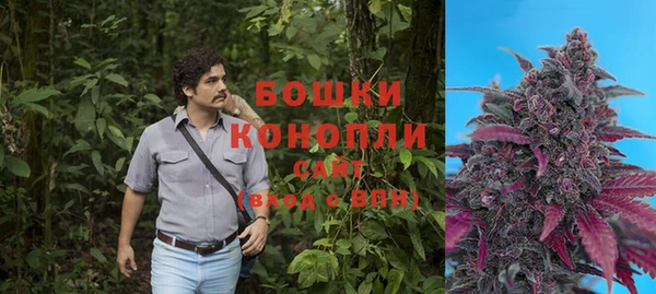 экстази Бородино