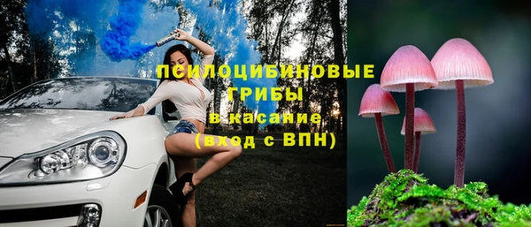 стаф Беломорск