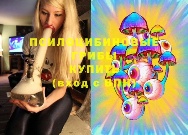 экстази Бородино
