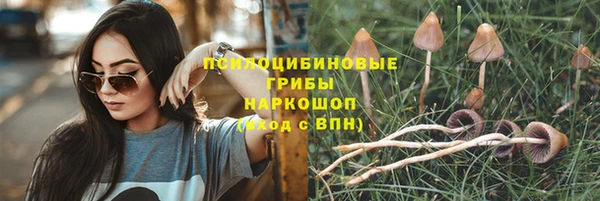 ГАЛЛЮЦИНОГЕННЫЕ ГРИБЫ Балахна